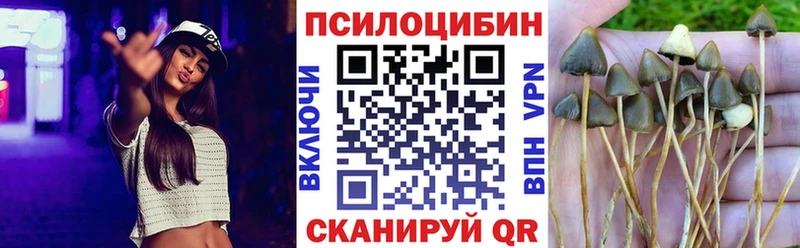 Галлюциногенные грибы Psilocybine cubensis  Томилино 